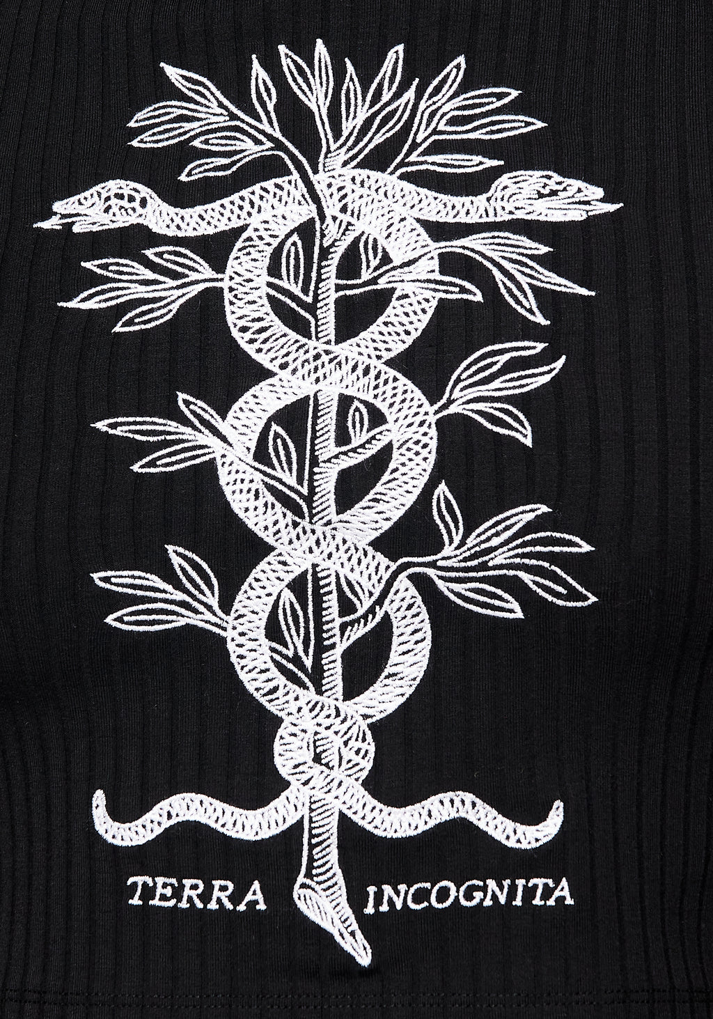 Caduceus Embroidered High Neck Crop Top – Disturbia