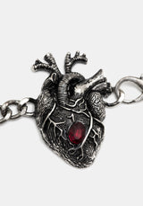 Corium Anatomical Chain Belt