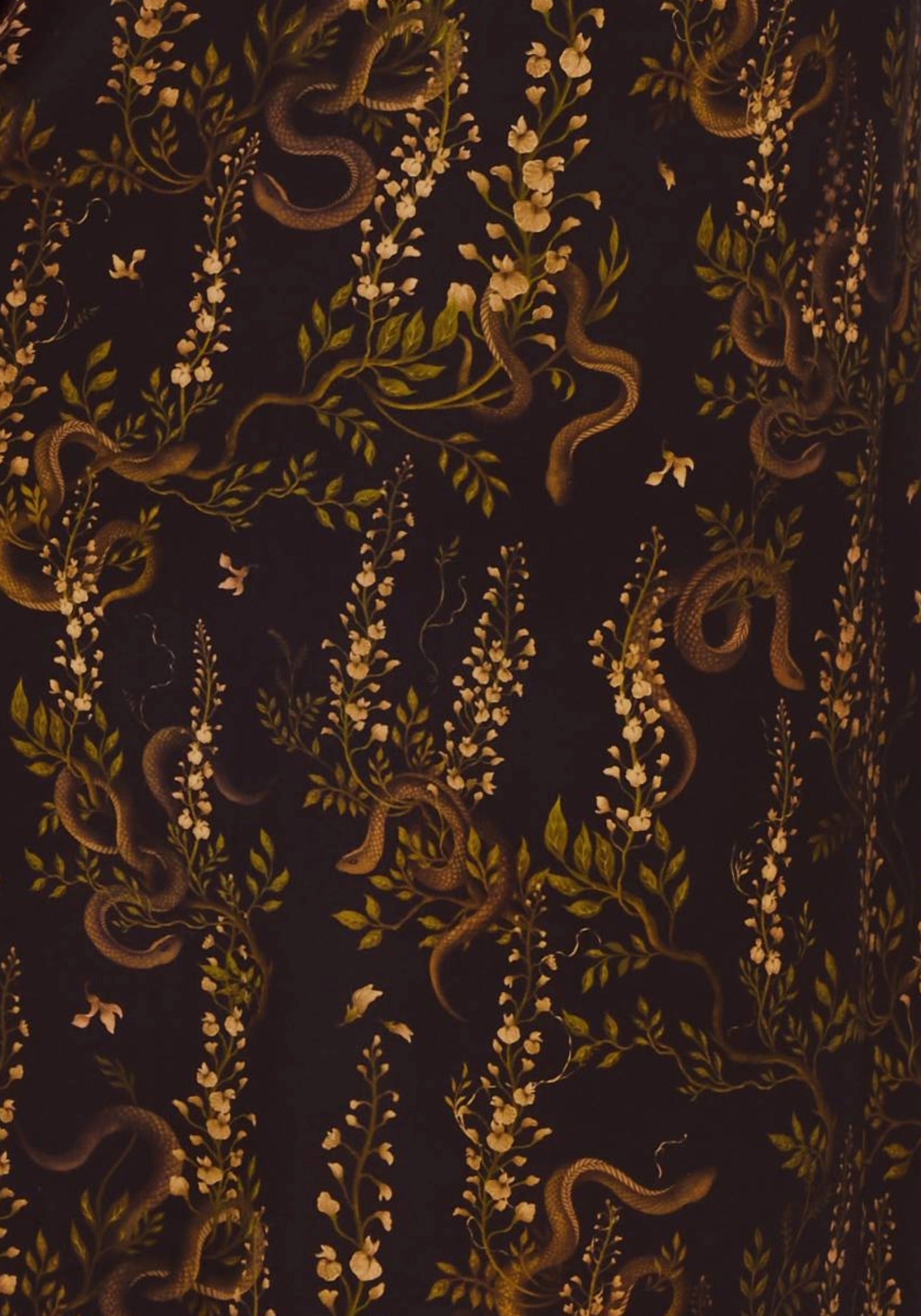 Azazel Snake Printed Midaxi Dress
