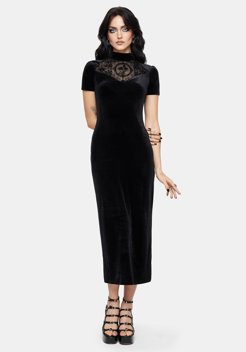 Cameo High Neck Flocked Mesh Insert Midi Dress