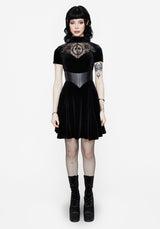 Cameo High Neck Flocked Mesh Insert Skater Mini Dress