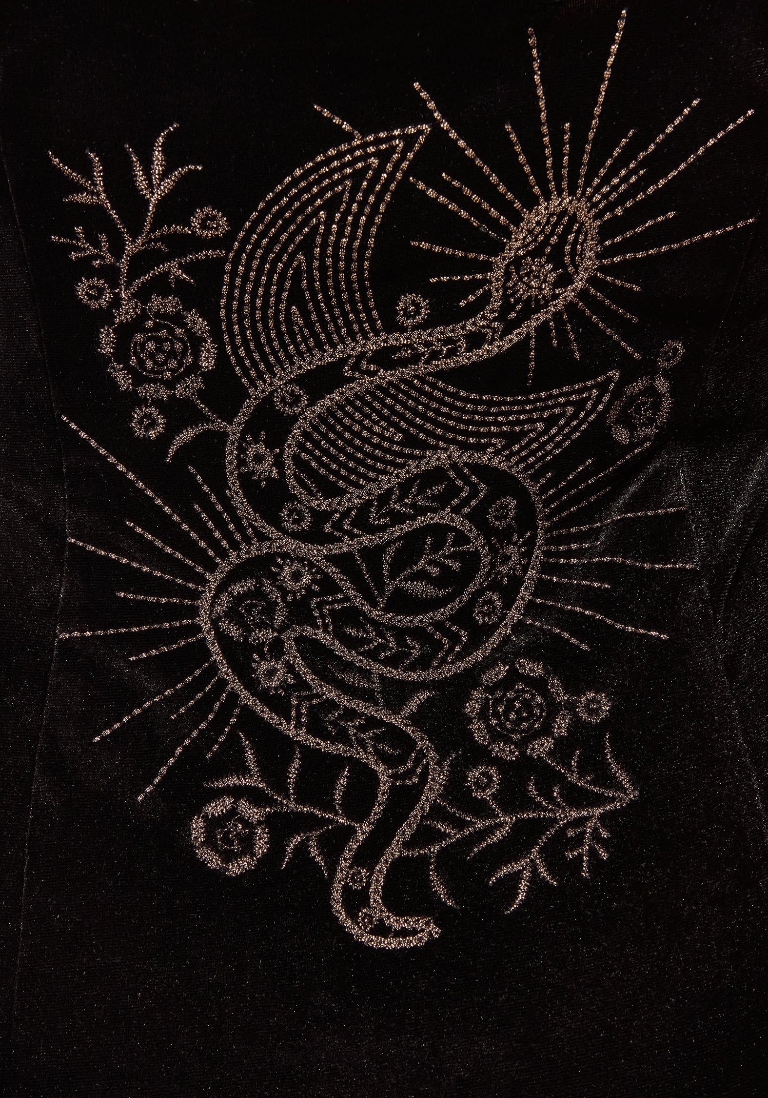Kobra Embroidered Velour Maxi Slip Dress