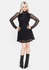 Amoura Boned Waist Corset Lace Mini Dress UK 6