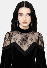 Umbra Lace Insert Velour Mini Dress UK 6