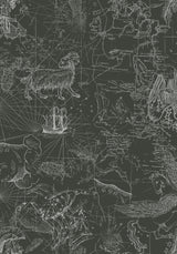 Vintage-style constellation print with astrological symbols on a black fabric background