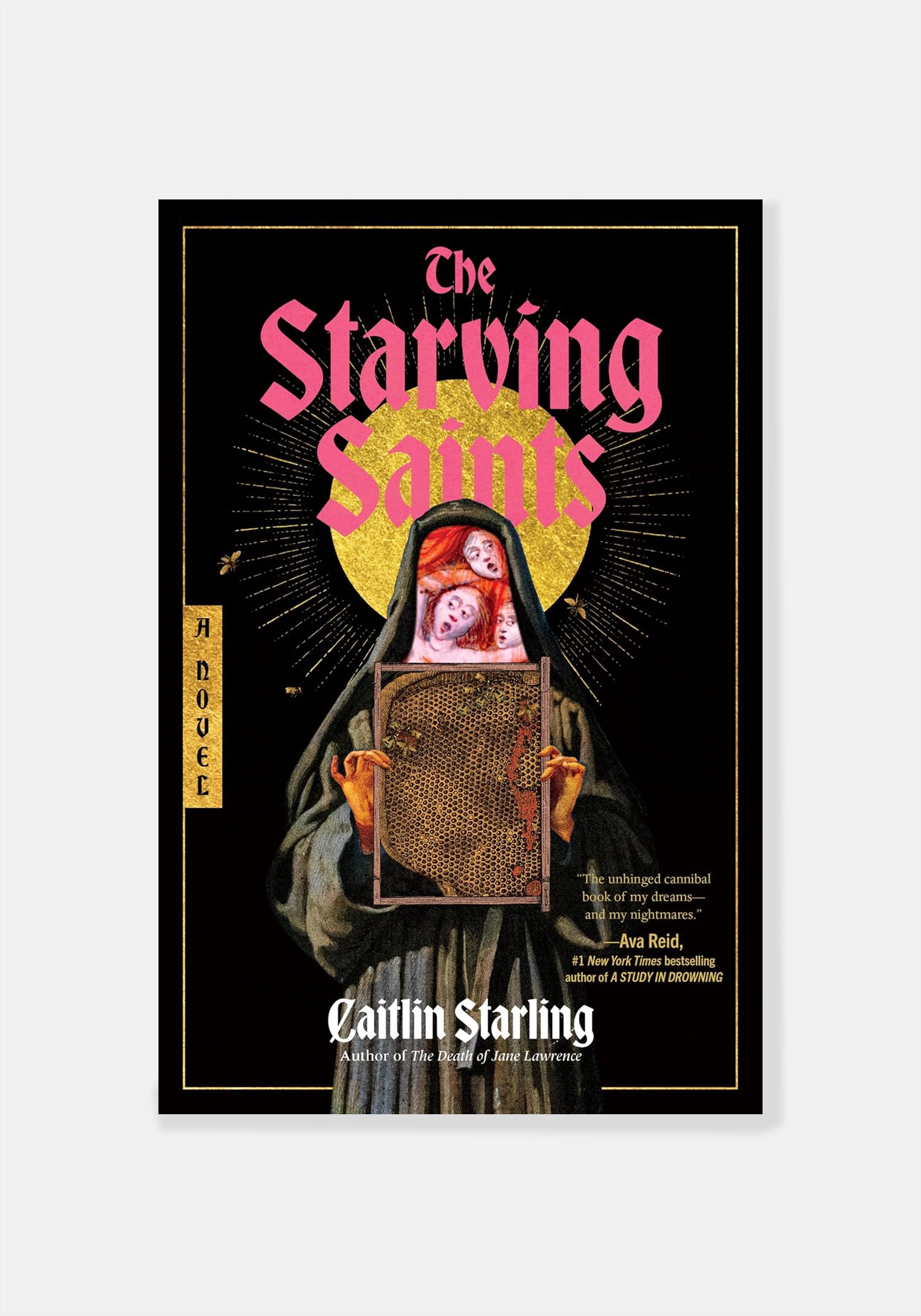 The Starving Saints - Caitlin Starling