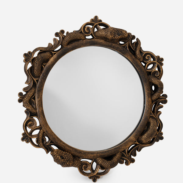 Vasuki Twisted Snake Mirror – Disturbia