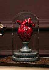 Cordis Heart In Jar