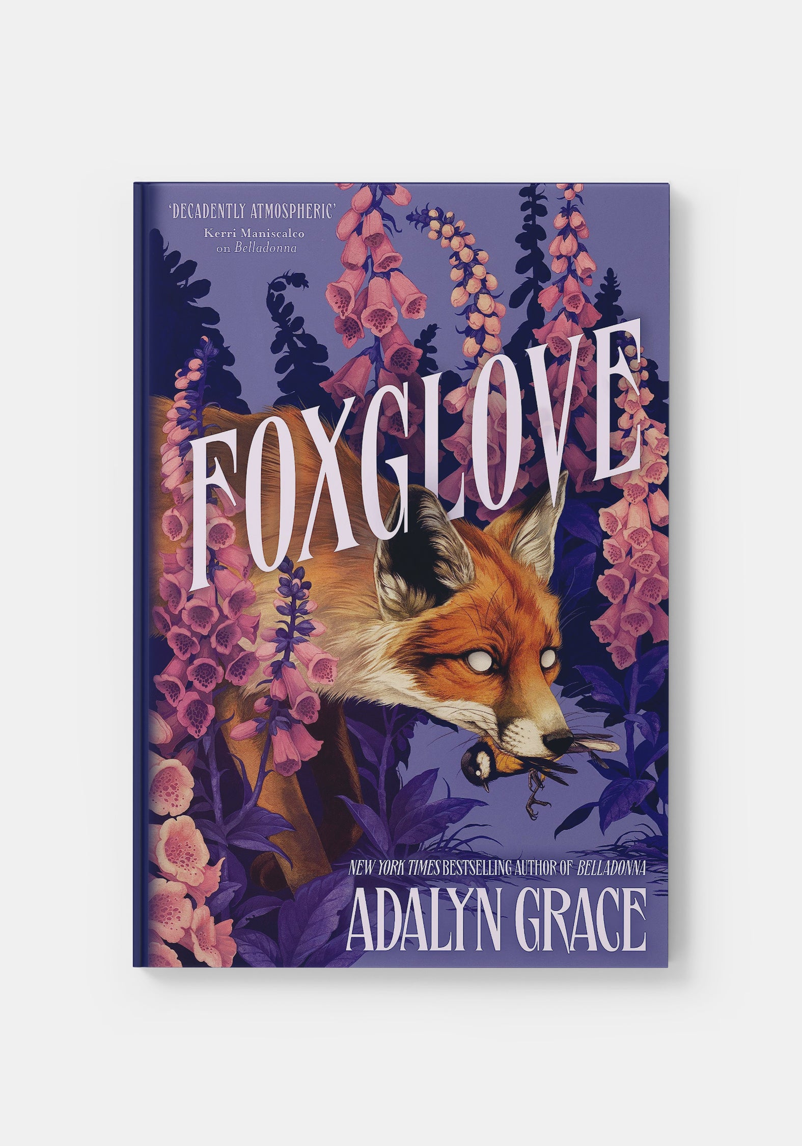 Foxglove - Adalyn Grace – Disturbia