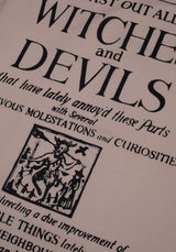 Incubus Tea Towel - 2 Pack