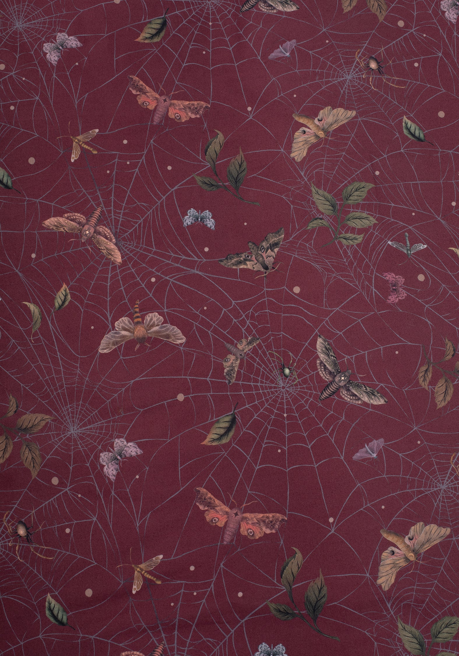 Celia Moth Web Bedding (UK Double)
