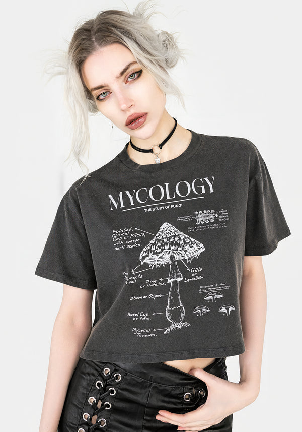 Mycology Boxy Crop T-shirt