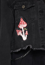 Nirah Embroidered Crop Denim Jacket