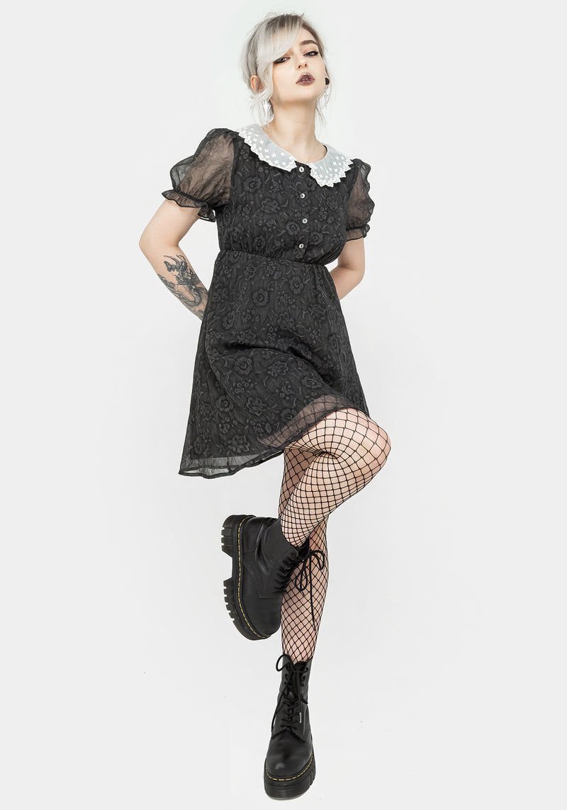 Phantasma Lace Collar Mini Dress