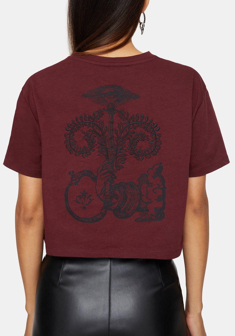 Xove Medieval Graphic Boxy Crop Cotton T-Shirt