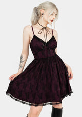 Anastasie Stretch Lace Mini Dress