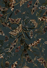 Whispen Moth Print Button Up Midi Skirt