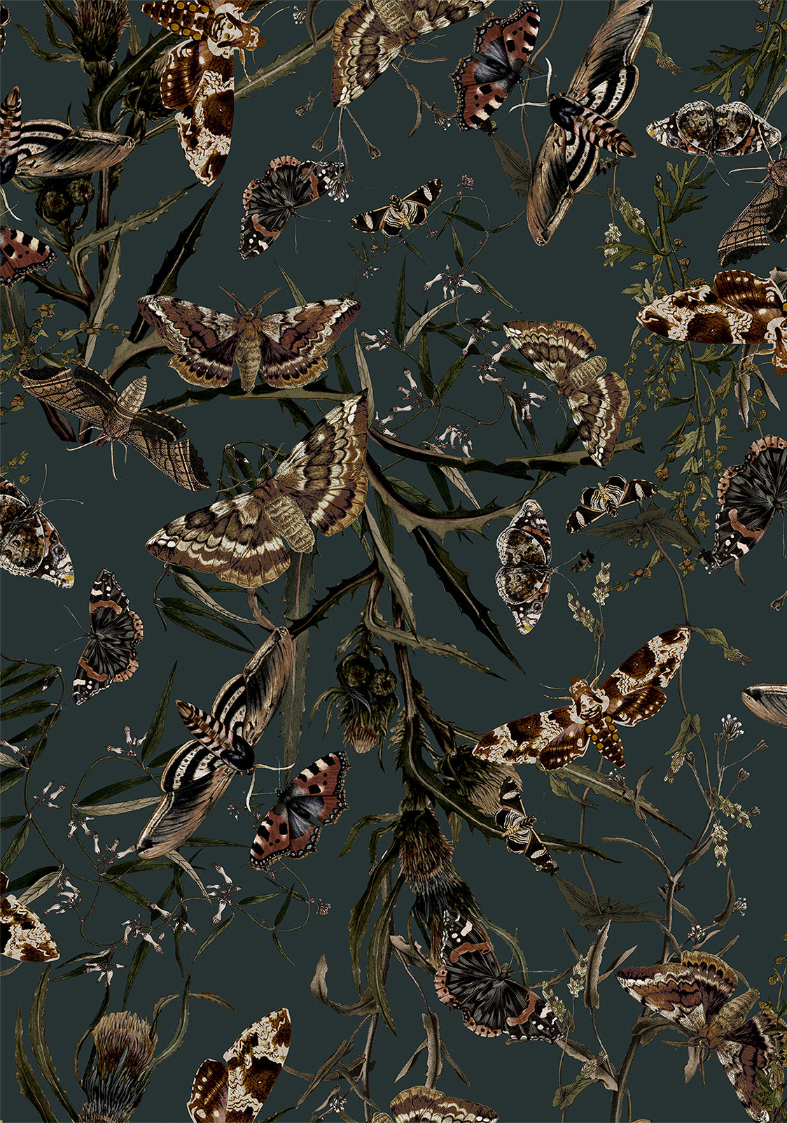 Whispen Moth Print Mini Wrap Dress