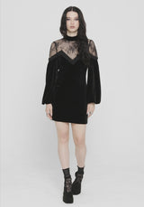 Umbra Lace Insert Velour Mini Dress