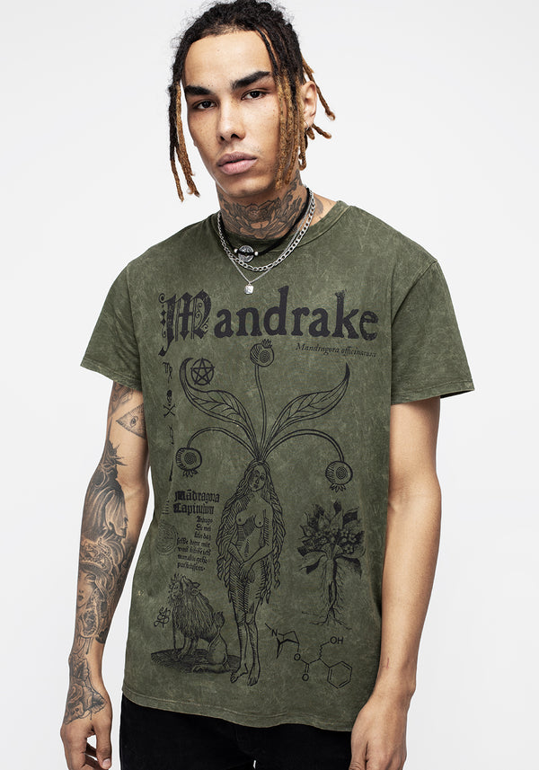 Mandrake Short Sleeve T-shirt - Green